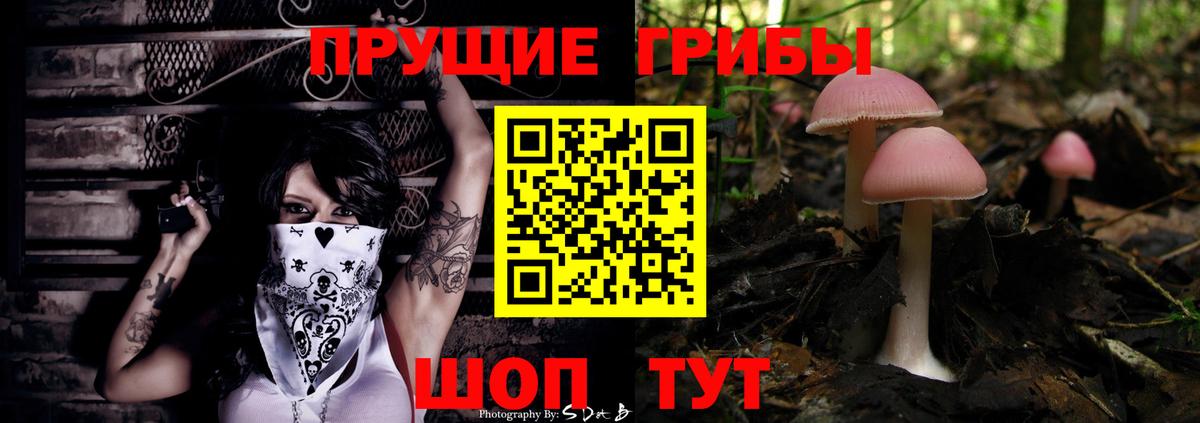 Галлюциногенные грибы мухоморы Гудермес
